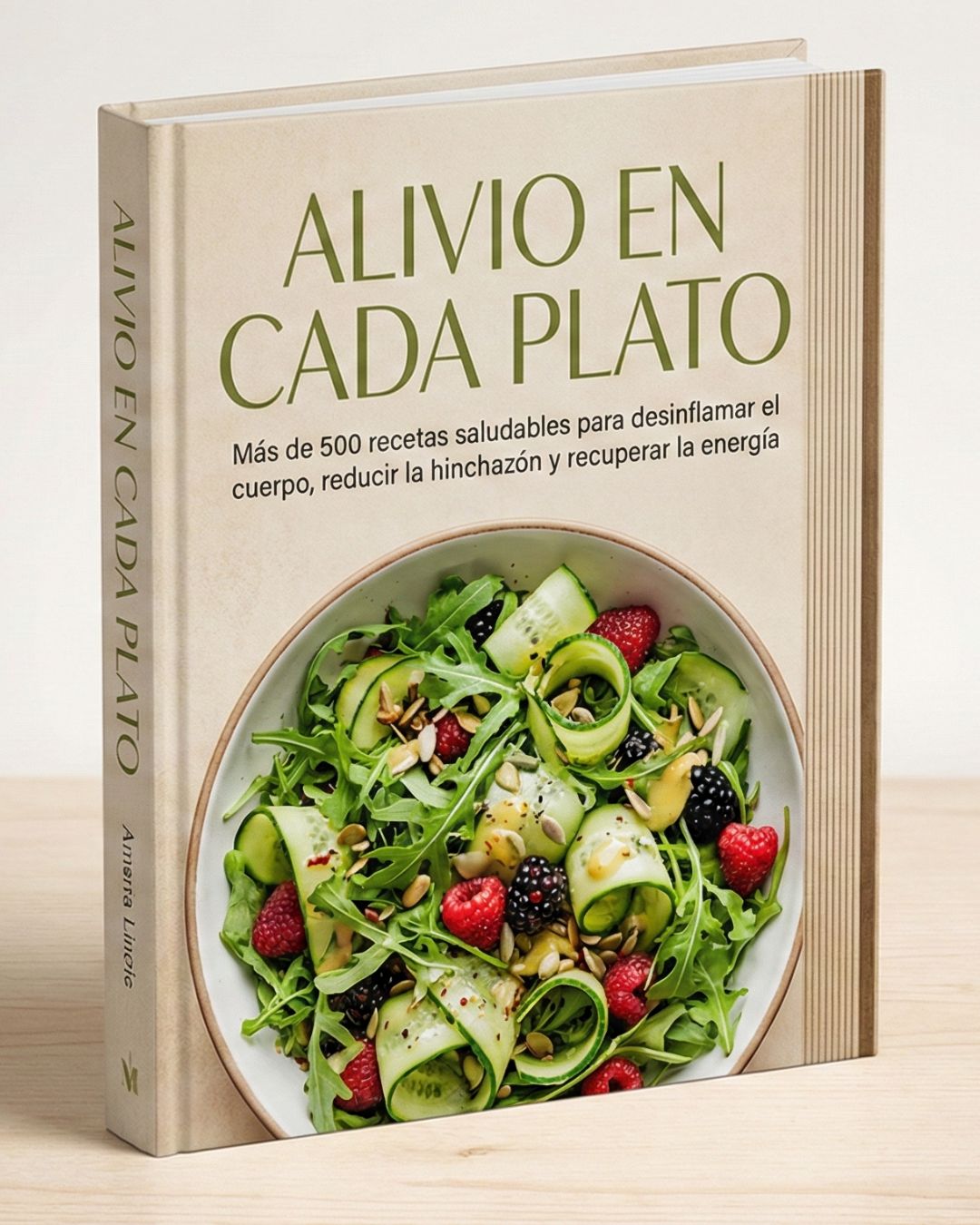 Alivio en Cada Plato +500 Recetas Saludables + 16 Bonos de Regalo